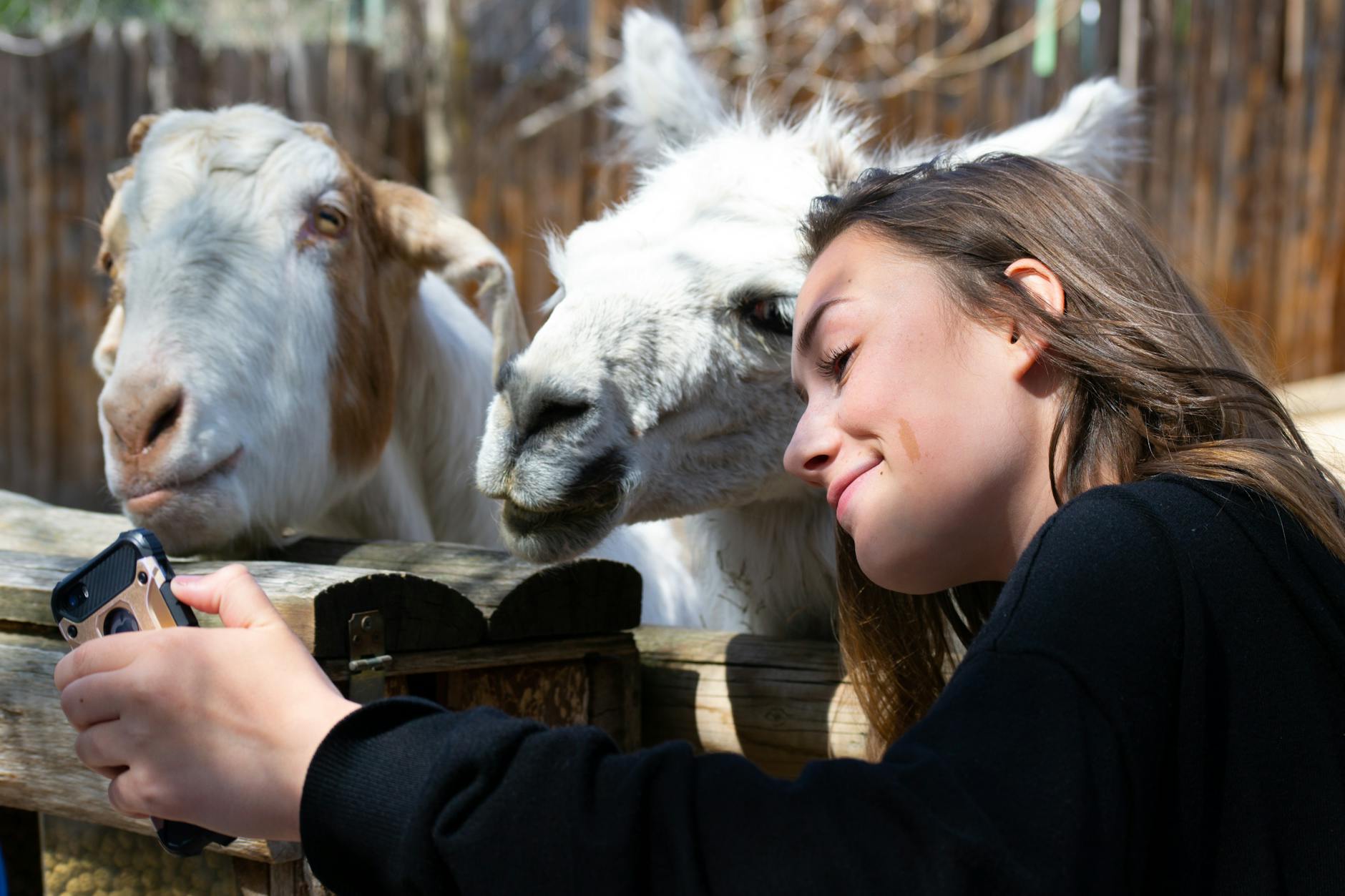 dierentuin als trouwlocatie